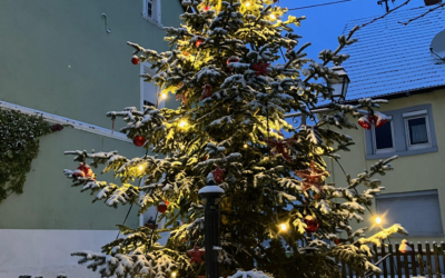 Einsammlung der Weihnachtsbäume